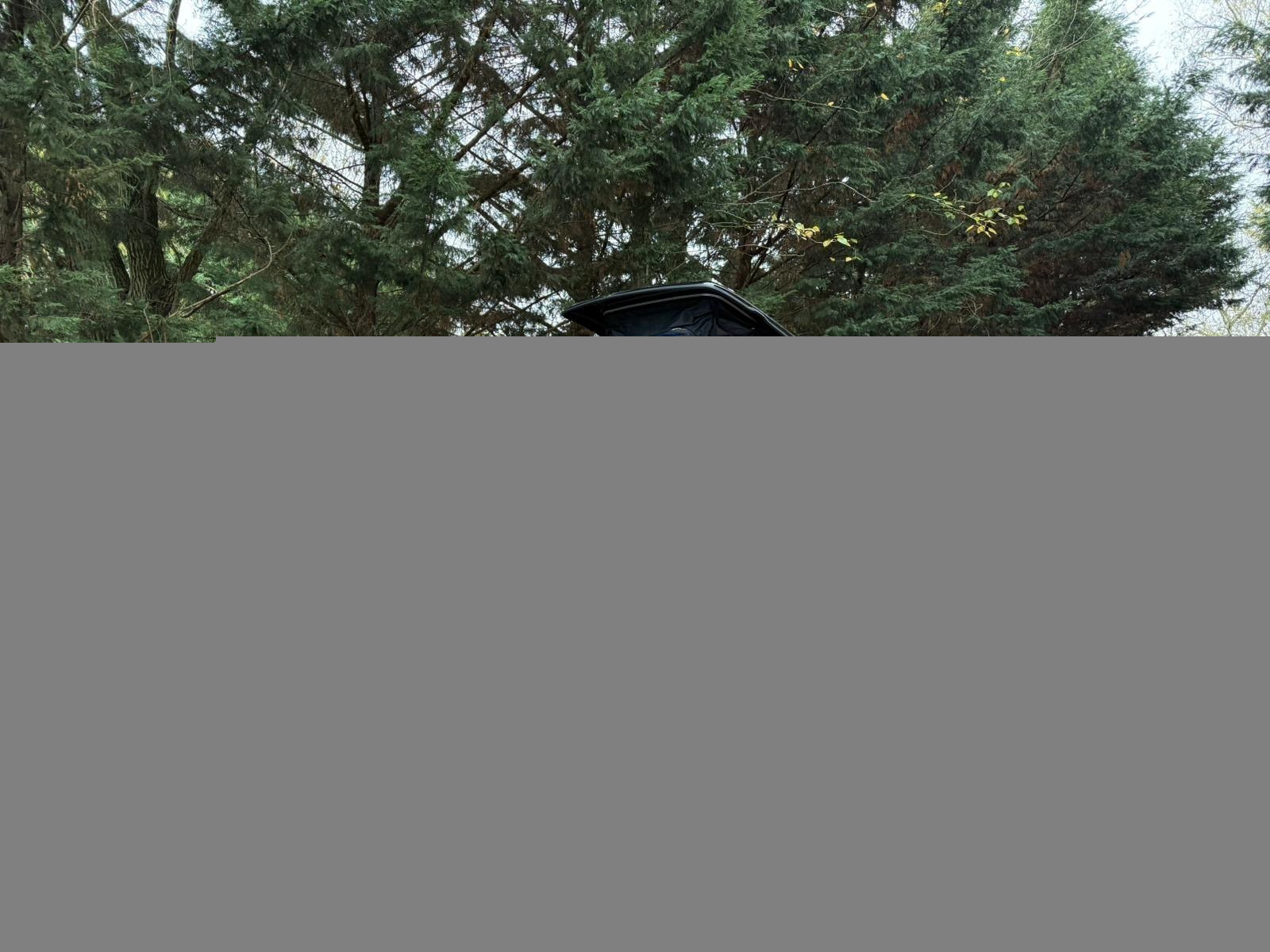 VW T7 - LWB 150ps DSG - Tailgate - Captains Seats - June 26